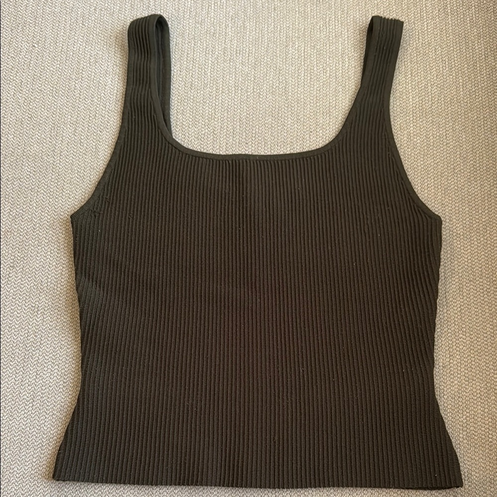 Babaton Aritzia Sculpt Knit Tank